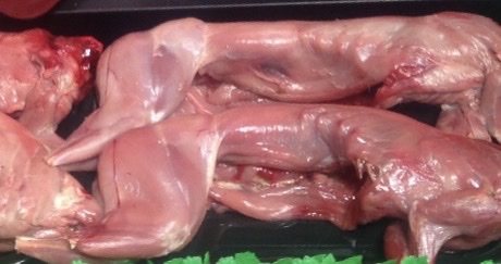 rabbit meat Kingsdown